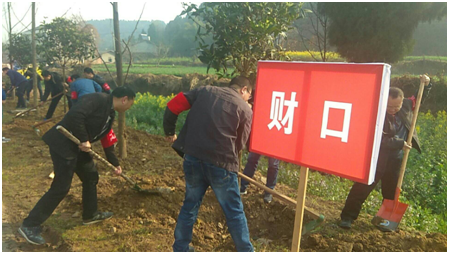 贡献力量   奉献绿色