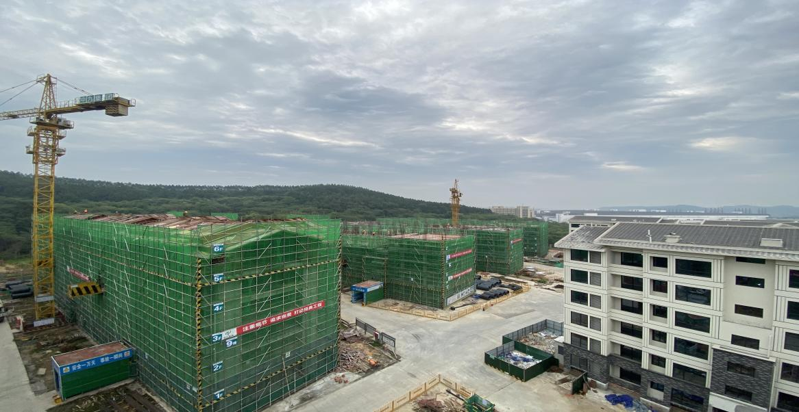 实干破局显成效  稳中求进促发展  PA真人集团官网集团顺利完成半年工作